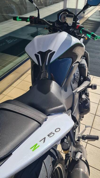 Kawasaki Z 750 (2007 - 14) (4)