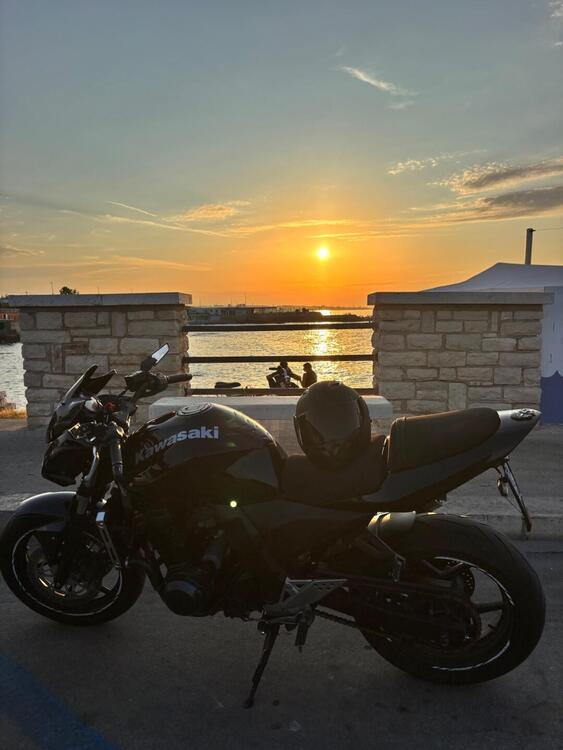 Kawasaki Z 750 (2003 - 06)