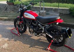 Ducati Scrambler 800 Icon (2021 - 22) usata