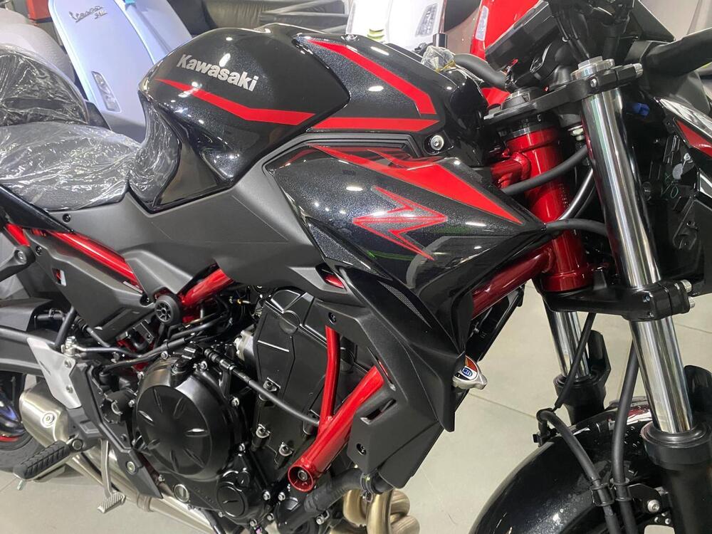Kawasaki Z 650 (2025 - 26) (4)