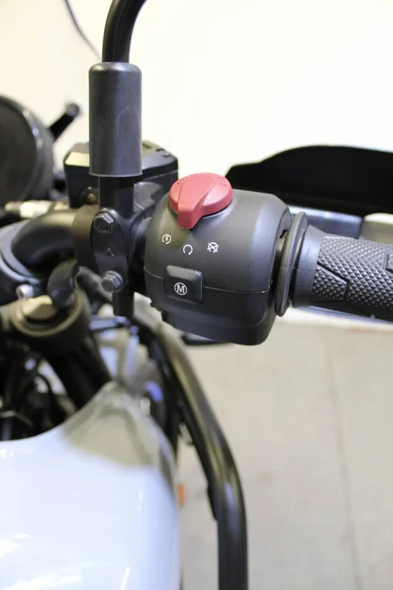 Royal Enfield Himalayan 450 (2024 - 26) (11)