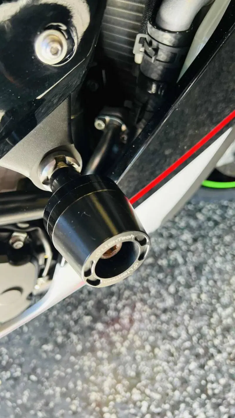 Kawasaki Ninja 1000 ZX-10R (2021 - 25) (9)