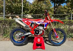 Betamotor RX 450 4T (2026) nuova