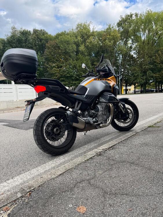 Moto Guzzi Stelvio PFF (2024 - 25) (4)