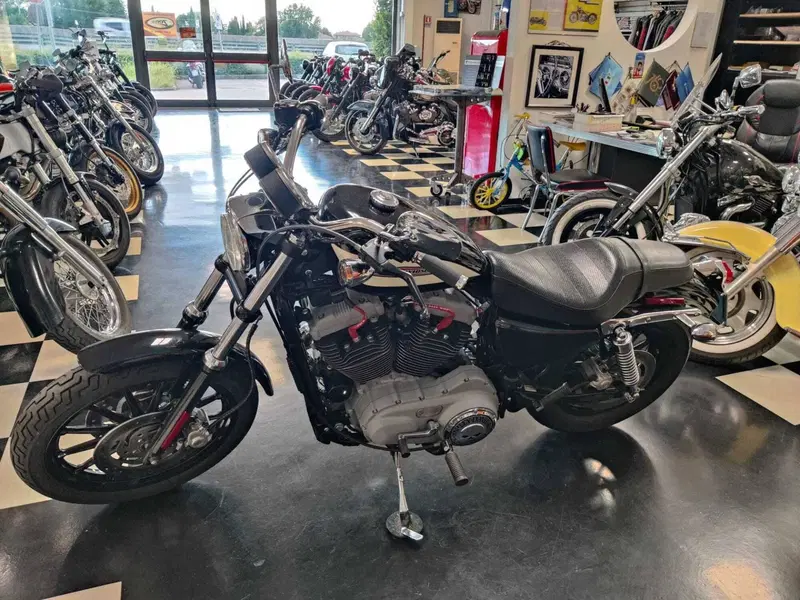 Harley-Davidson 1200 Roadster (2002 - 05) - XL 1200R (7)