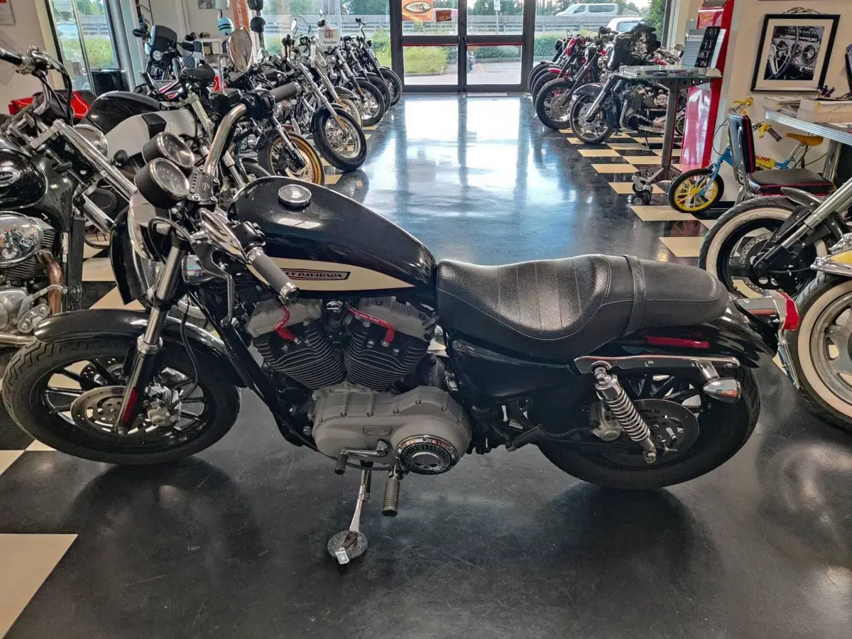 Harley-Davidson 1200 Roadster (2002 - 05) - XL 1200R (8)