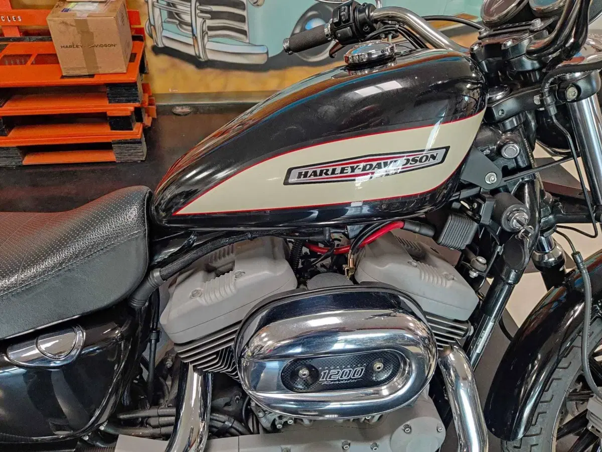 Harley-Davidson 1200 Roadster (2002 - 05) - XL 1200R (9)