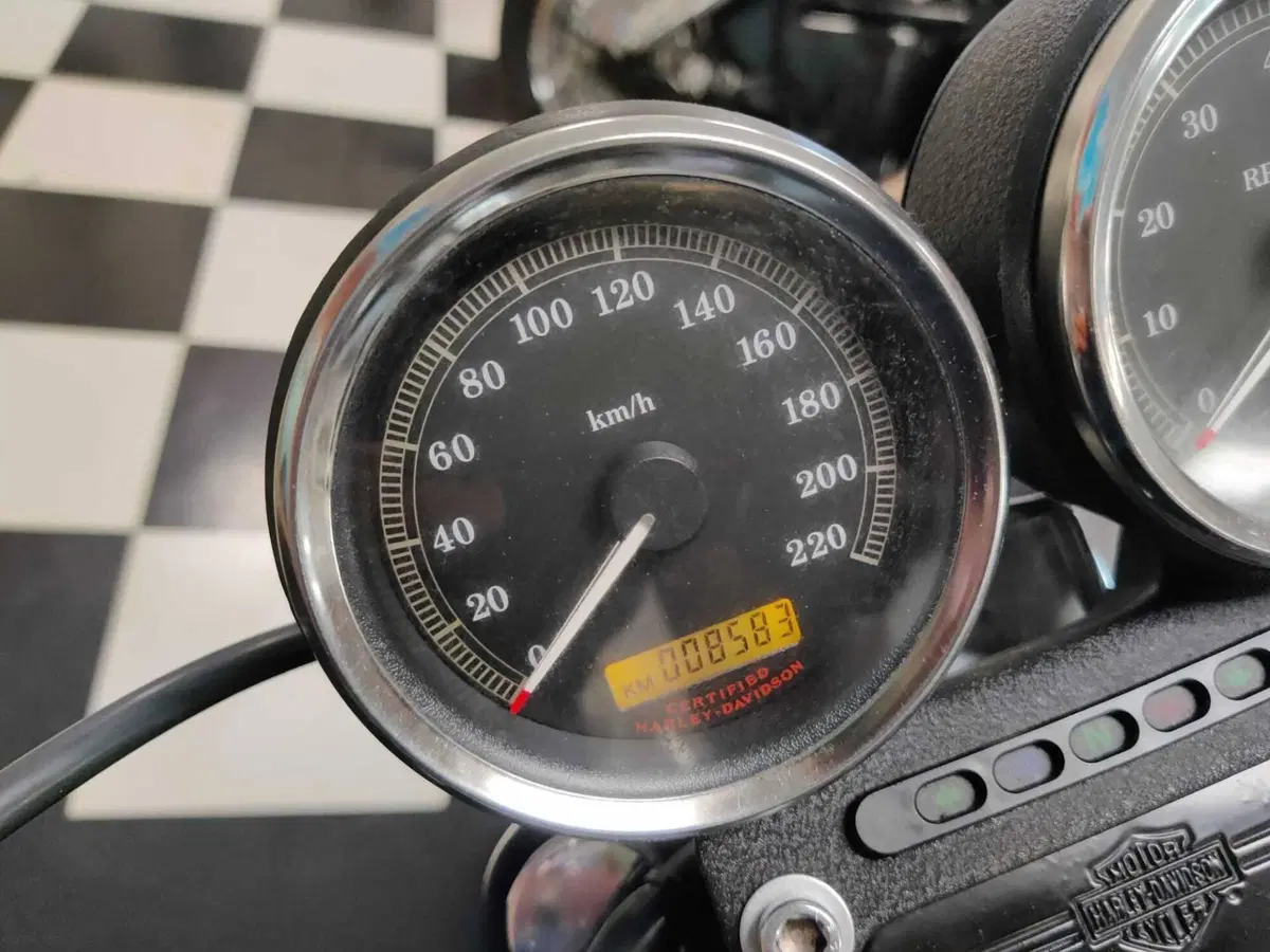 Harley-Davidson 1200 Roadster (2002 - 05) - XL 1200R (10)