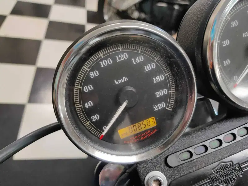Harley-Davidson 1200 Roadster (2002 - 05) - XL 1200R (10)
