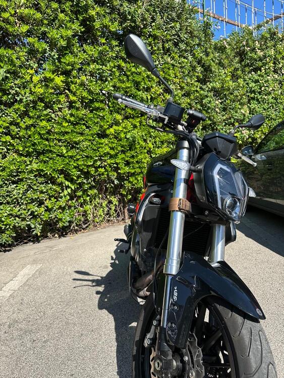 Benelli BN 302 S (2019 - 20) (4)