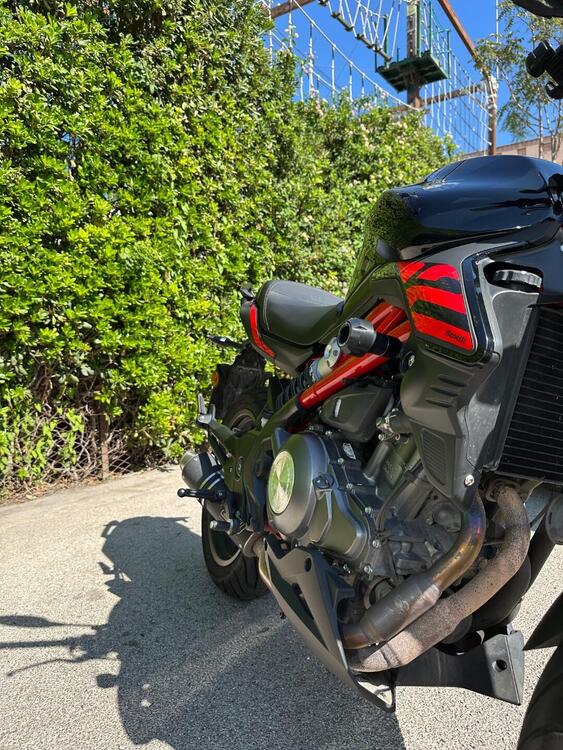 Benelli BN 302 S (2019 - 20) (2)