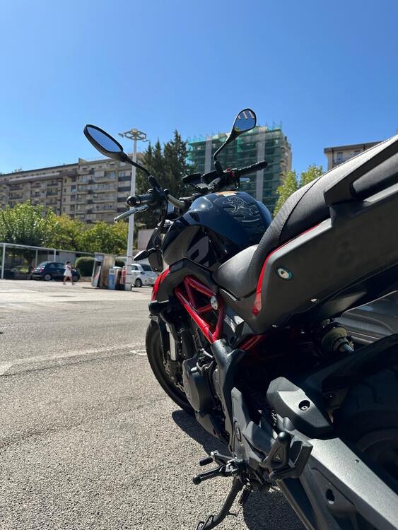 Benelli BN 302 S (2019 - 20) (5)