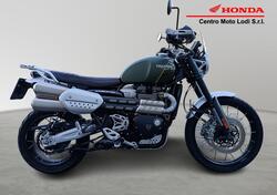Triumph Scrambler (2006 - 17) usata