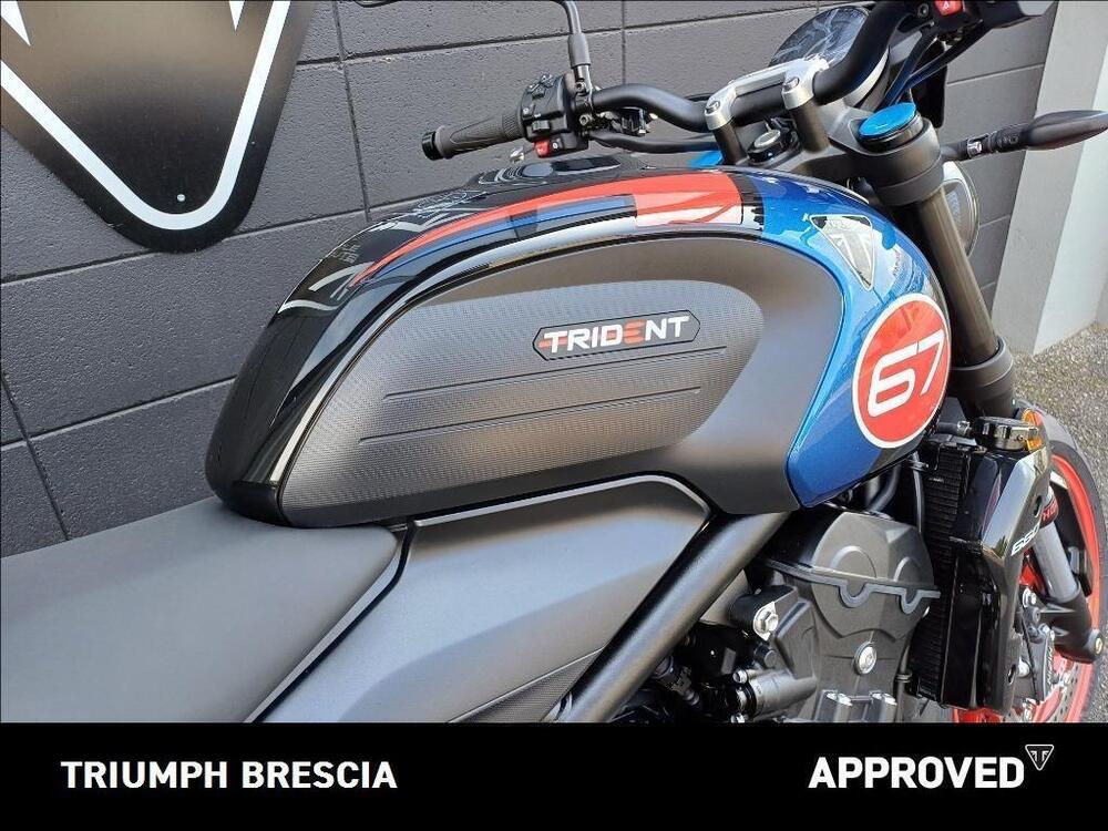 Triumph Trident 660 Triple Tribute Edition (2025) (4)