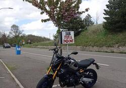 Yamaha MT-09 SP (2021 - 23) usata