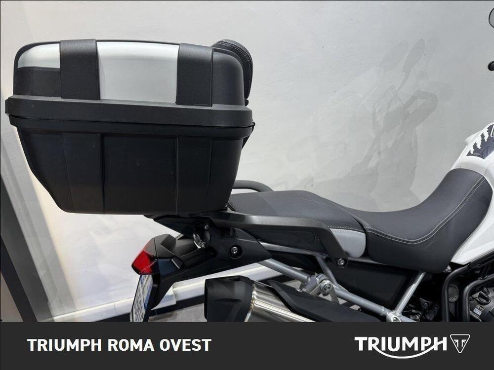 Triumph Tiger 900 Rally Pro (2020 - 23) (3)