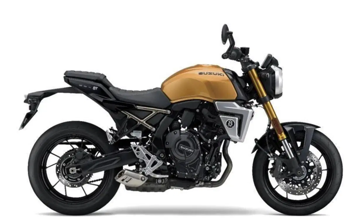 Suzuki GSX-8T (2025 - 26)