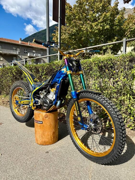 Betamotor Evo 300 2t Factory (2020) (2)