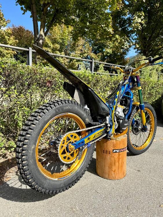 Betamotor Evo 300 2t Factory (2020) (4)