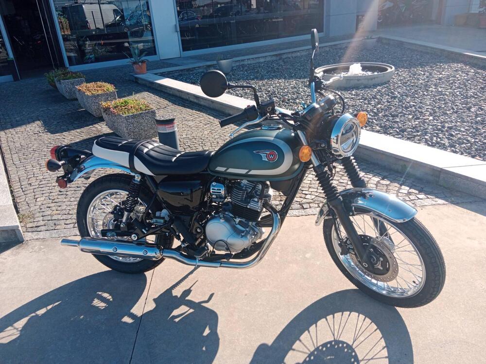 Kawasaki W 230 (2025 - 26) (2)