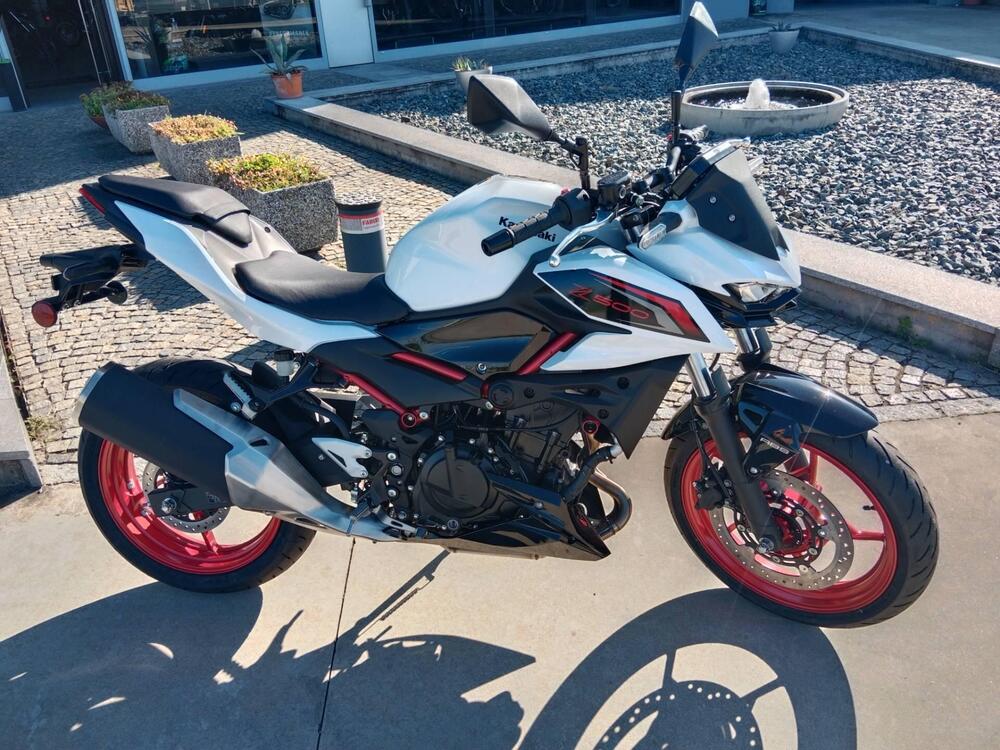 Kawasaki Z 500 SE (2024 - 26) (2)