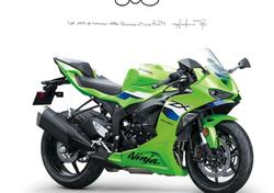 Kawasaki Ninja 636 ZX-6R (2024 - 26) nuova