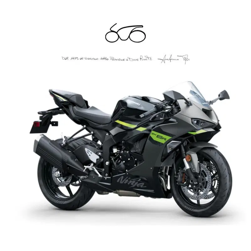 Kawasaki Ninja 636 ZX-6R (2024 - 26)