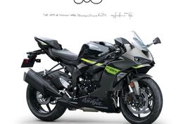 Kawasaki Ninja 636 ZX-6R (2024 - 26) nuova