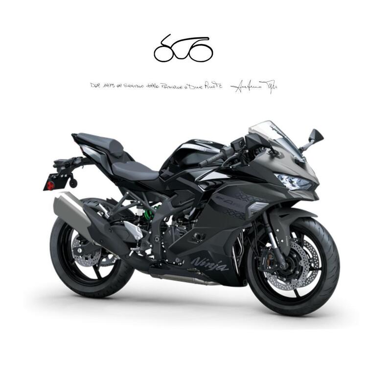 Kawasaki Ninja ZX-4RR (2024 - 26)