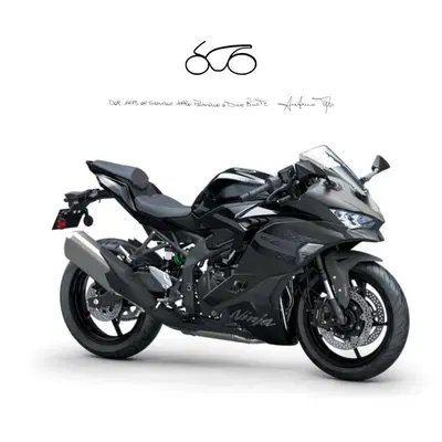 Kawasaki Ninja ZX-4RR (2024 - 26) nuova