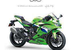 Kawasaki Ninja ZX-4RR (2024 - 26) nuova