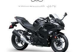 Kawasaki Ninja 500 (2024 - 26) nuova