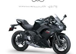 Kawasaki Ninja 650 (2025 - 26) nuova