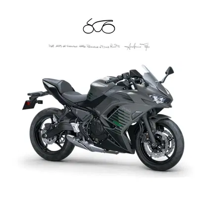 Kawasaki Ninja 650 (2025 - 26) nuova