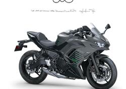 Kawasaki Ninja 650 (2025 - 26) nuova