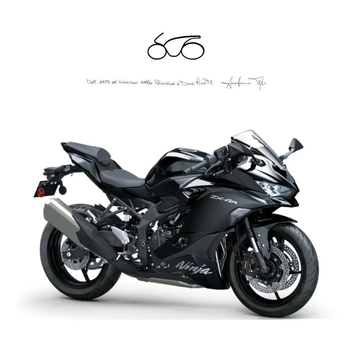 Kawasaki Ninja ZX-4R (2024 - 26)