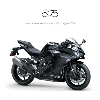 Kawasaki Ninja ZX-4R (2024 - 26) nuova
