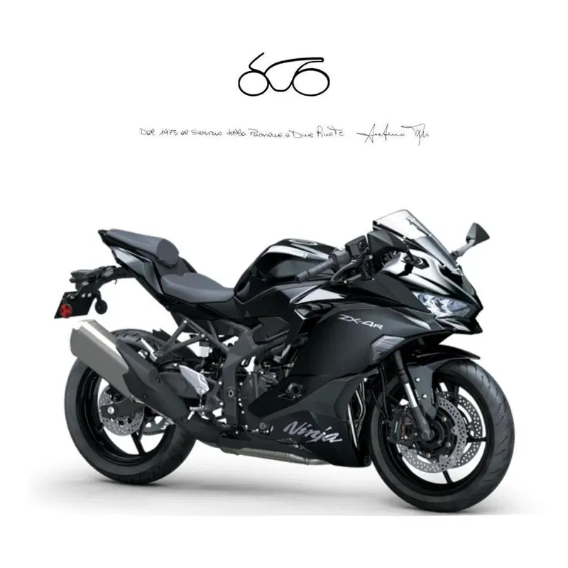 Kawasaki Ninja ZX-4R (2024 - 26)