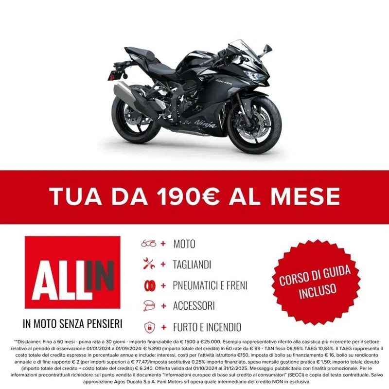 Kawasaki Ninja ZX-4R (2024 - 26) (2)