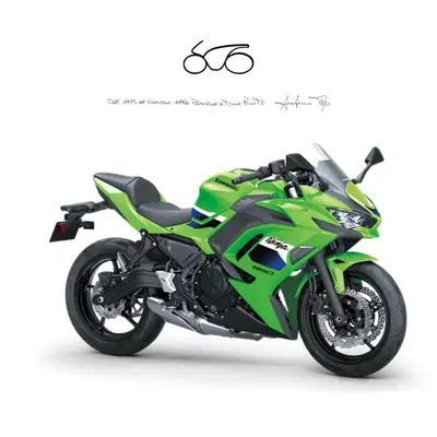 Kawasaki Ninja 650 (2021 - 24) nuova