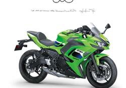 Kawasaki Ninja 650 (2021 - 24) nuova