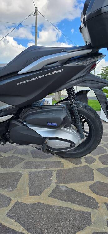 Honda Forza 350 Deluxe (2022 - 24) (2)