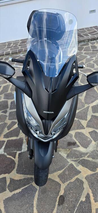 Honda Forza 350 Deluxe (2022 - 24) (3)