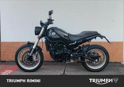 Benelli Leoncino 500 Trail (2021 - 25) usata