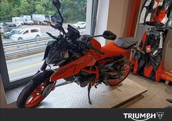 KTM 390 Duke (2024 - 26) usata