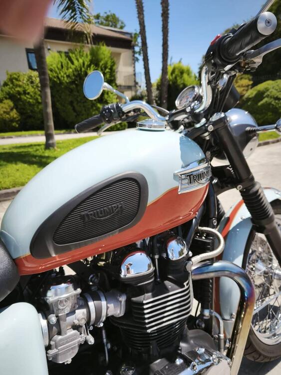 Triumph Bonneville T100 50th Anniversary (2009) (3)