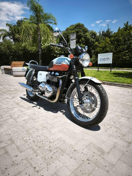 Triumph Bonneville T100 50th Anniversary (2009) (4)