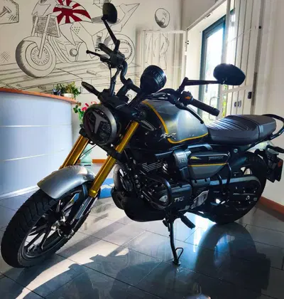 TVS Motor Ronin 250 (2024 - 26) usata