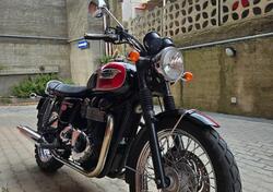 Triumph Bonneville T100 (2008 - 16) usata
