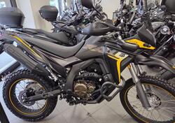 Voge Valico 300 Rally (2022 - 25) nuova